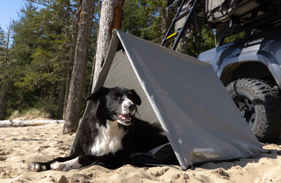 Ironman 4x4 The Pet Hut | Dog Swag Tent