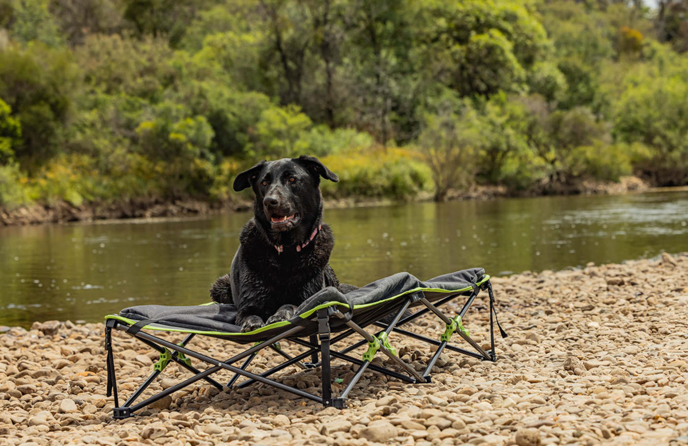 Ironman 4x4 Quick Fold Dog Bed with Padded Mat (XL)