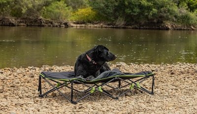 Ironman 4x4 Quick Fold Dog Bed with Padded Mat (XL)