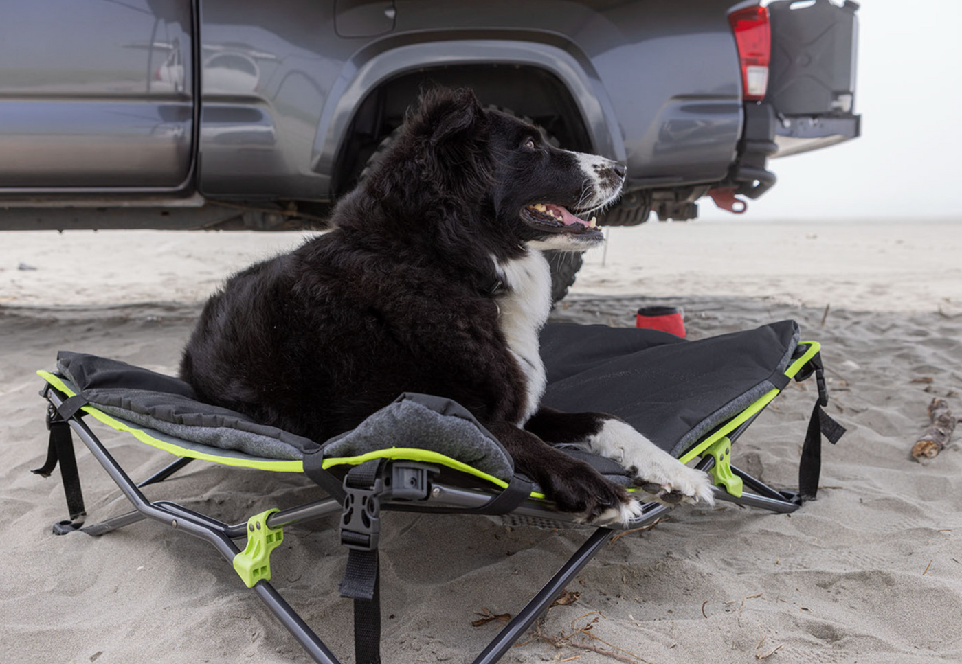 Ironman 4x4 Quick Fold Dog Bed with Padded Mat