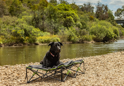 Ironman 4x4 Quick Fold Dog Bed with Padded Mat (XL)